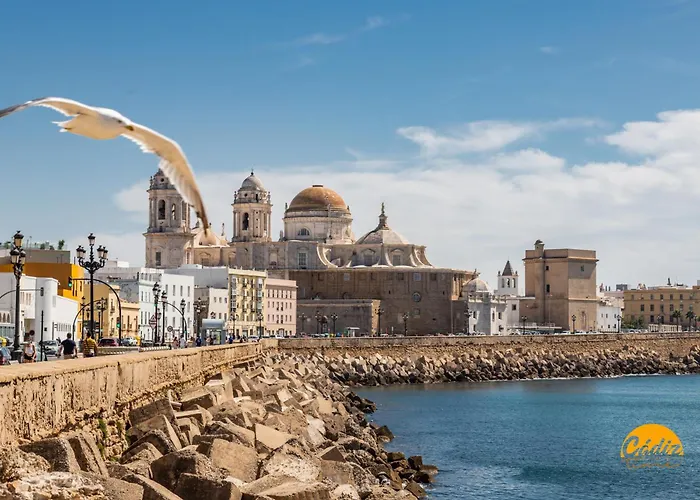 Bajo El Falla By Time Apartment Cadiz